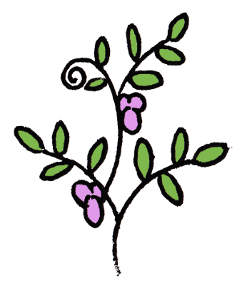 カラスノエンドウ